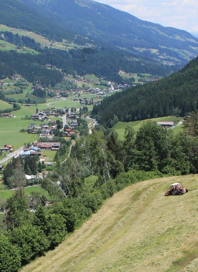 Gruppen Und Familienhof Falkenstein Otel Krimml Dış mekan fotoğraf